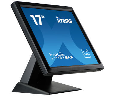Iiyama 17-Inch Prolite